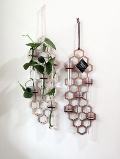 Sticklingsstation Honeycomb stor