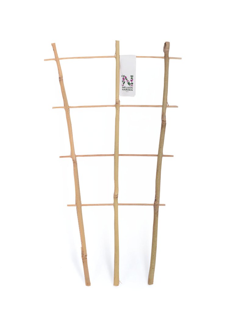 Krukspaljé Bambu 45 cm – Nelson Garden