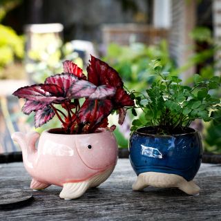 Minikruka Balena 6 cm – Valformad keramikkruka