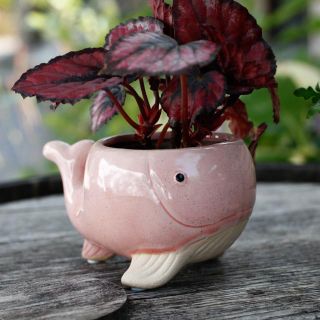 Minikruka Balena 6 cm – Valformad keramikkruka