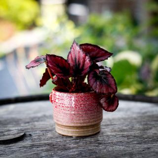 Minikruka Boho Rose 6 cm – Keramikkruka i rosa och natur