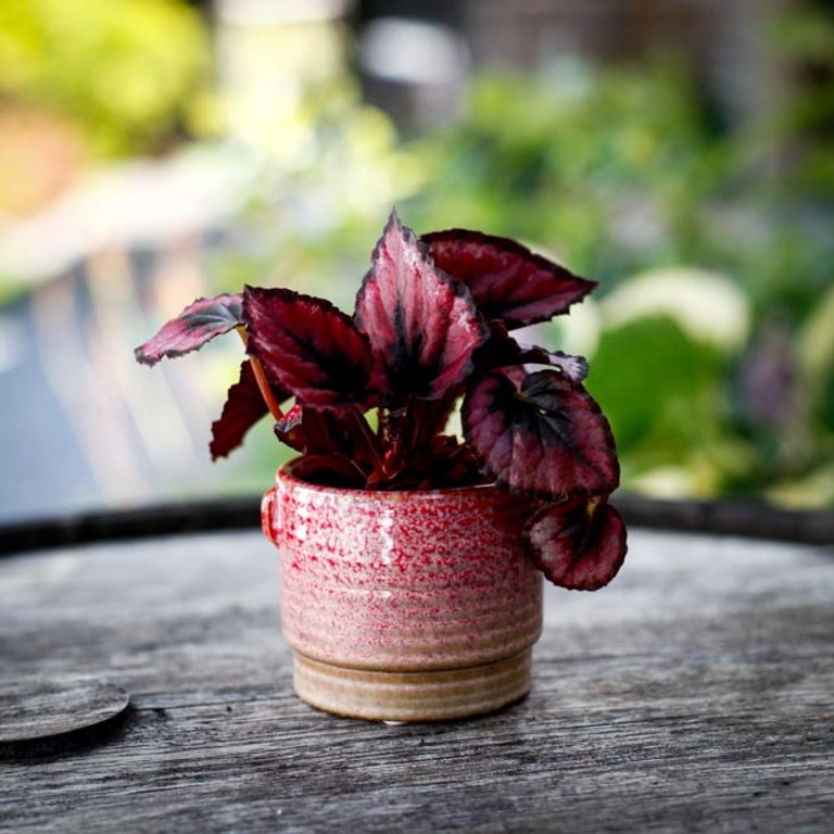 Minikruka Boho Rose 6 cm – Keramikkruka i rosa och natur