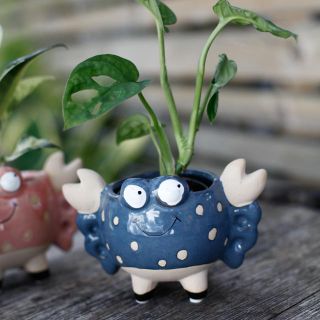 Minikruka Crusta 6 cm – Krabbformad keramikkruka