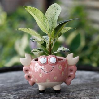 Minikruka Crusta 6 cm – Krabbformad keramikkruka