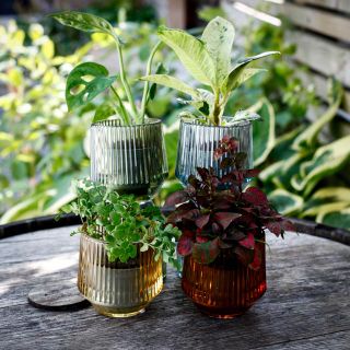 Minikruka Linea 6 cm – Ytterkruka i räfflat färgat glas