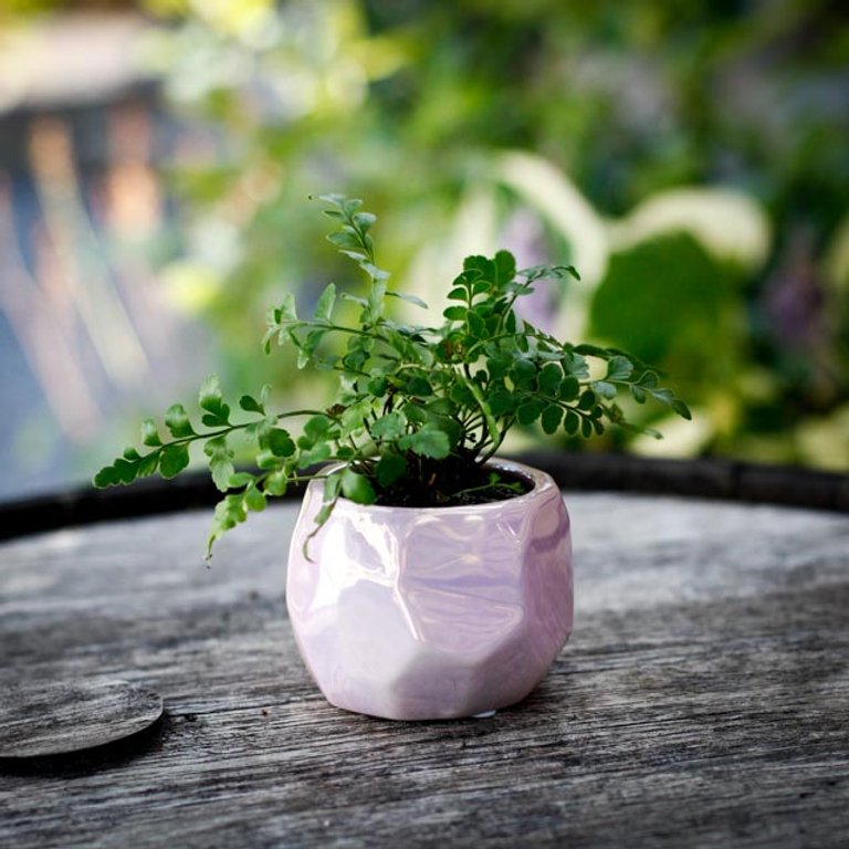 Minikruka Brisa 6 cm – metallicglasyr