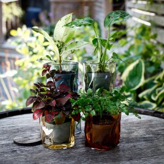 Minikruka Prisma 6 cm – Ytterkruka i färgat glas