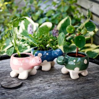 Minikruka Tortuga 6 cm – Sköldpaddsformad keramikkruka