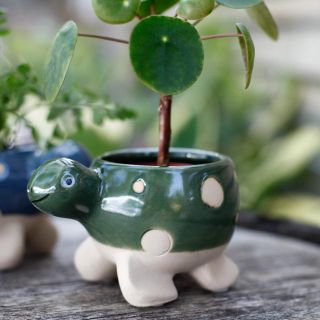 Minikruka Tortuga 6 cm – Sköldpaddsformad keramikkruka