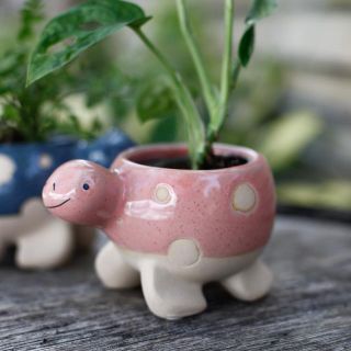 Minikruka Tortuga 6 cm – Sköldpaddsformad keramikkruka