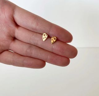 Örhängen Monstera Adansonii blad