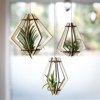 Tillandsiahållare kantig 3-pack