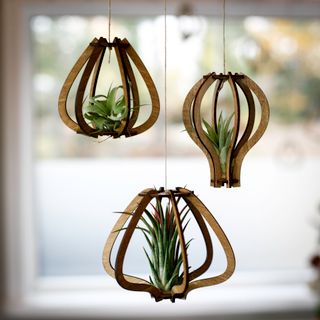 Tillandsiahållare rund 3-pack