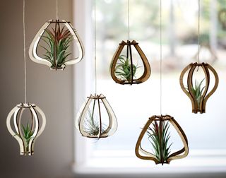 Tillandsiahållare rund 3-pack