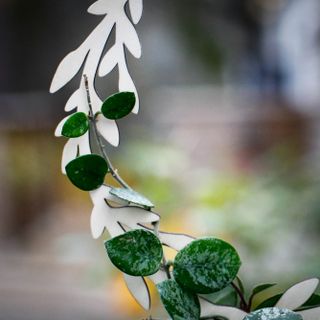 Växtstöd cirkel i trä Ø20 cm