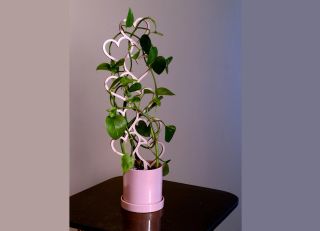 Växtstöd Hjärta 45cm i trä