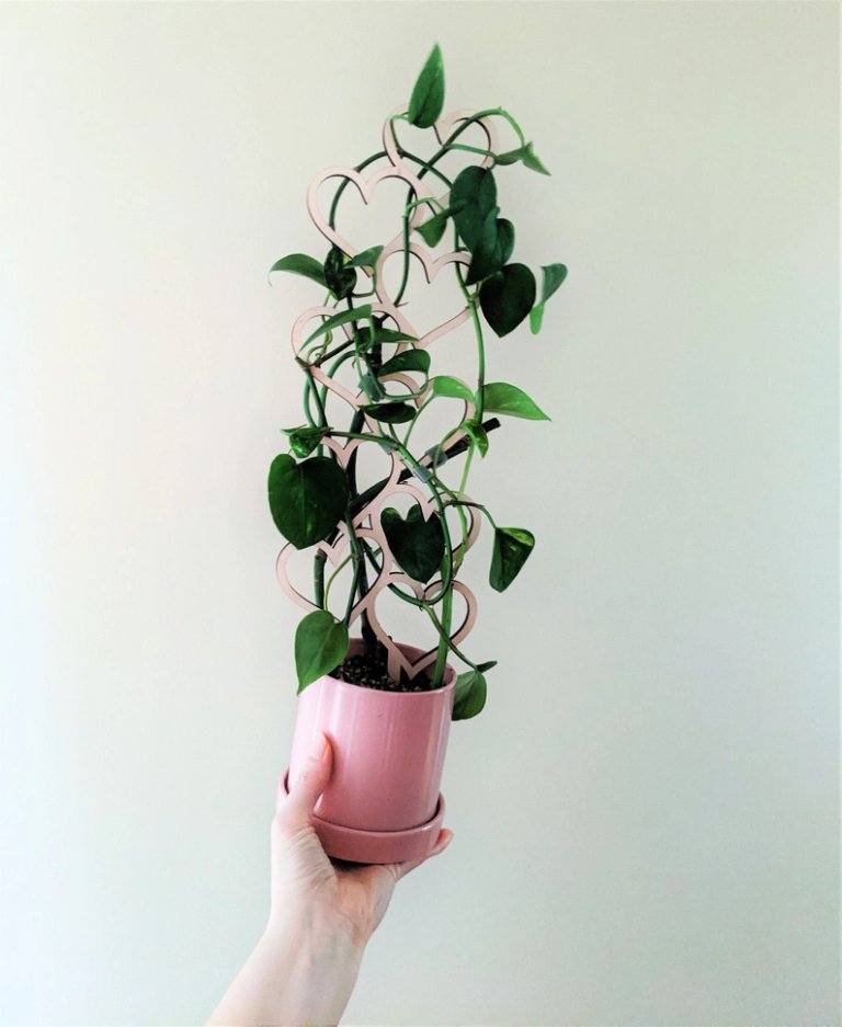 Växtstöd Hjärta 45cm i trä