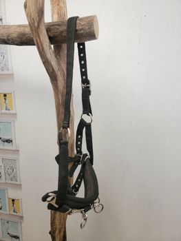 Kapson i syntet stl full