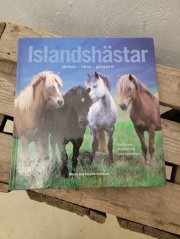 Islandshästar.  Skötsel hälsa gångarter