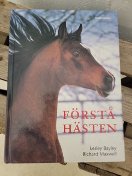 Förstå Hästen