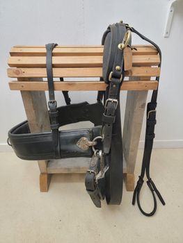 Bröstsele /parsele stl full ? 120 cm ring till ring