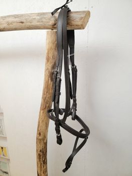 Achenträns mörkbrunt stl full från Fairfeild