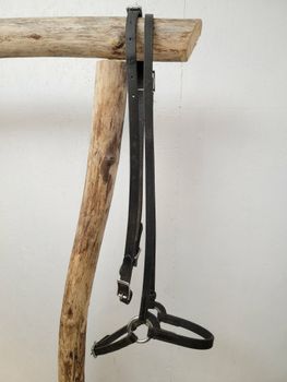 Islandsträns svart