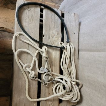 Longeringshjälp med 31" EPDM Strap