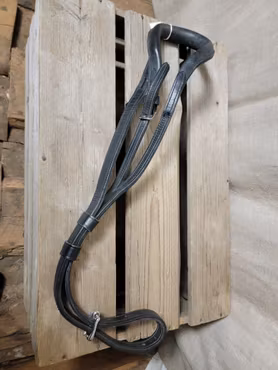 Svanskappa troligen till sele totalt 140 cm lång