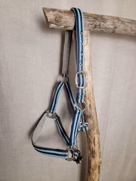 Grimma stl cob i blått