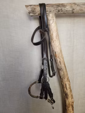 Sidepullträns stl full i brunt med silverspännen