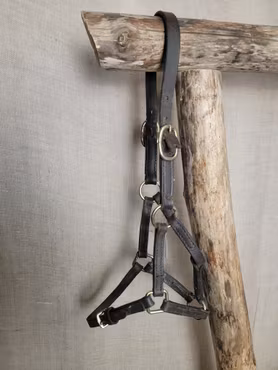 Lädergrimma stl föl i brunt