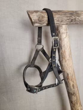 Grimma stl föl i svart