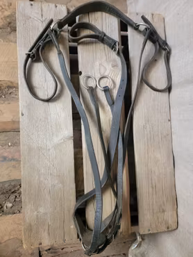 Förbygel stl full? med martingal i brunt