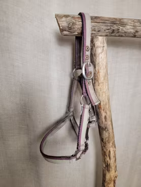 Grimma stl ponny i lila och grått