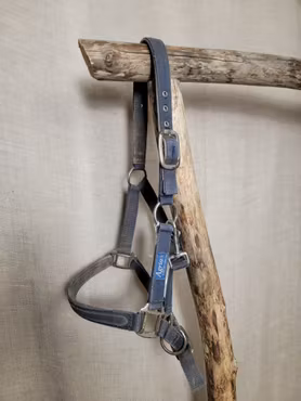 Grimma stl ponny i blått från Agria