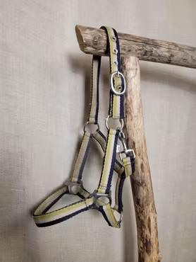 Grimma stl ponny i blått,vitt och gult