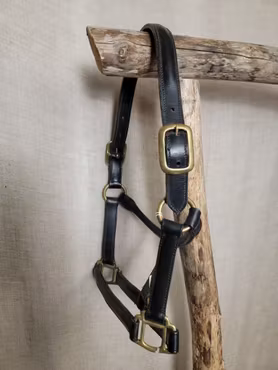 Lädergrimma stl ponny i svart med mässingspännen