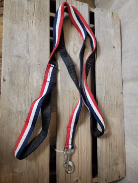 Grimskaft/koppel i franska färgerna