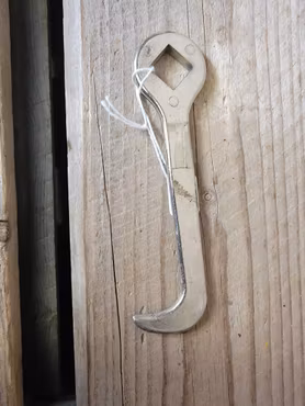 Broddnyckel med hovkrats