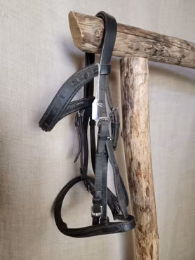 Träns stl Shetland i svart med silverspännen