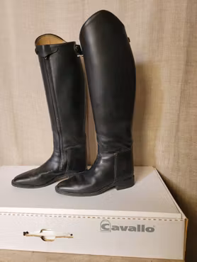 Cavallo Grand Prix plus stl 4,5