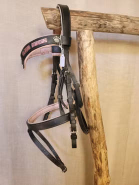 Achenträns svart med silverspännen och rosa fodring