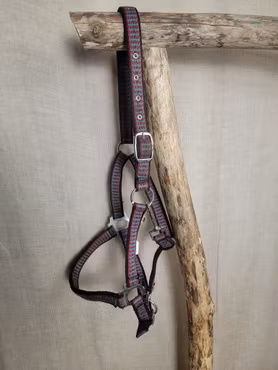 Grimma stl cob