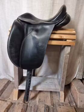 Morris & Nolan dressyr 16" 31 bom