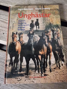 Unghästar av Ingrid Andersson och Charlie Lindberg