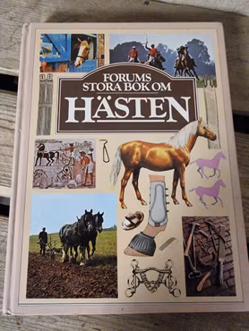 Stora Forums bok om hästen