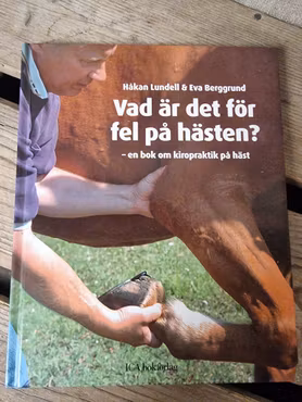 Vad är det för fel på hästen av Håkan Lundell & Eva Berggrund