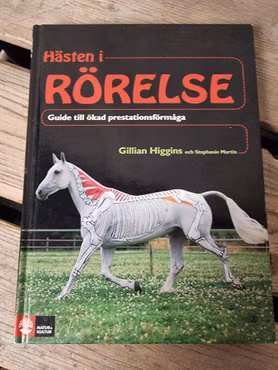 Hästen i rörelse av Gilligan Higgins och Stefanie Martin