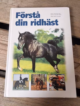 Förstå din ridhäst av Rikke Mark Schultz